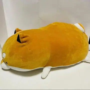 타루시바 쫀득쫀득 누워있는 big 봉제 인형 시바견 쿠션