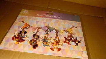 40주년 도쿄 디즈니랜드 참