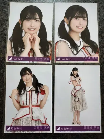 이오키 마오 비리야니 브로마이드 컴프