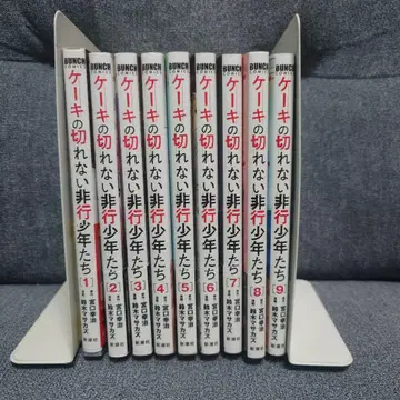 케이크를 자를 수 없는 비행 소년들 1~9권 세트