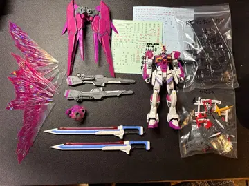 건담 프라모델 RG 데스티니 임펄스 건담, 조립만 한 정크제품