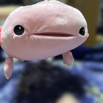 아홀로틀 봉제 인형