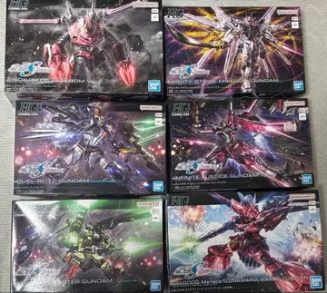 건담 프라모델 HG 즈고크 등 seed freedom