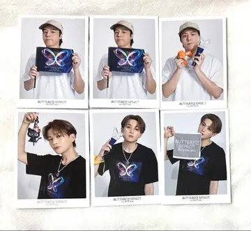 야기 유세이 세계