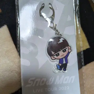 SnowMan 와타나베 쇼타 군 스노치루 매달리는 키링