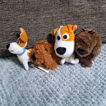 강아지 봉제 인형 4체 세트