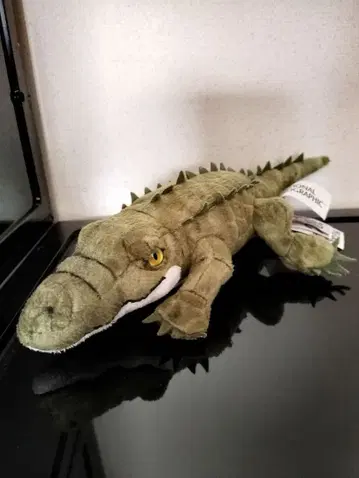 내셔널지오그래픽 악어 봉제 인형