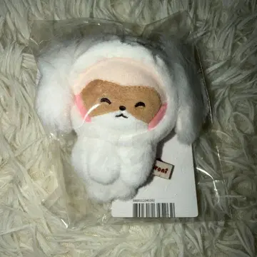 hanini 마그넷 사진 홀더 장하오 hanini 하오 제로니