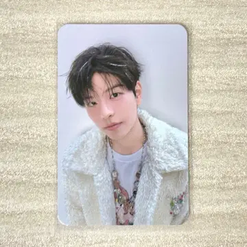 straykids 스키즈 승민 팬미팅 클리어 파우치 트레이딩 카드