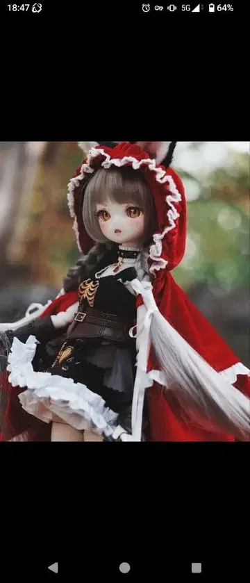 Tinyfox 안나 풀세트