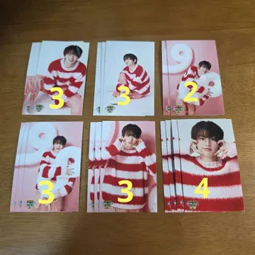 아카시 리쿠 버스데이 이벤트 미니 브로마이드 빨간색 의상 18점