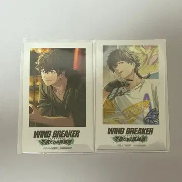 WIND BREAKER 윈브레 AGF 윈히로 카드 토카게 조