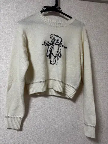 릴리 브라운 Lily Bear 자수 니트탑