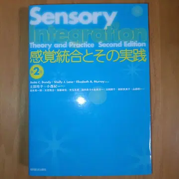 감각 통합과 그 실천