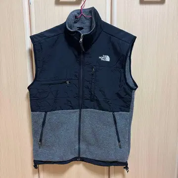 THE NORTH FACE 데날리 베스트