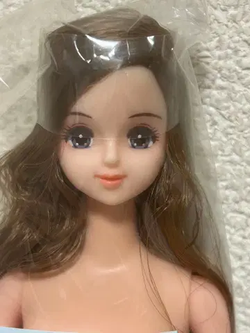 리카짱 캐슬 BD 오타노시미 인형 제니