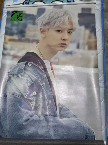 EXO 찬열 태피스트리 포스터