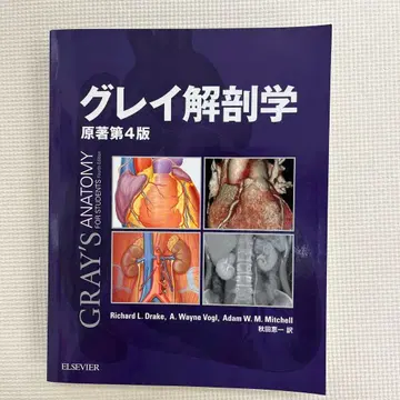 그레이 해부학 원서 제4판