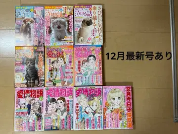 여성용 코믹 여성 만화 레이디 코믹