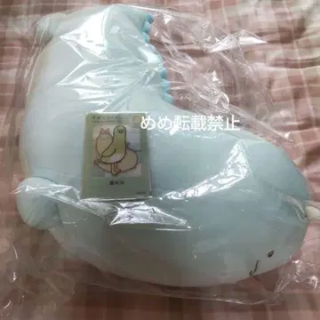 스미코구라시 진화 수주 빅 봉제 인형