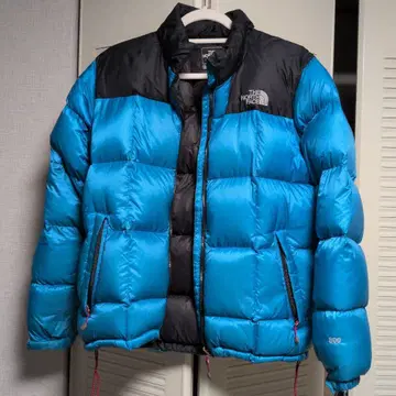 더 노스페이스 다운 서밋 시리즈 800