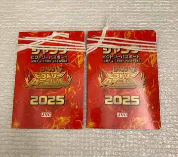 점프 빅토리 여권 2025 점프 페스타 3