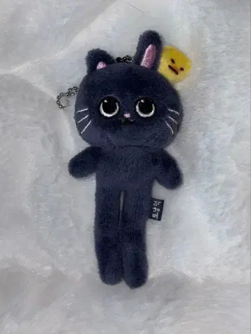 RIIZE 원빈 토냥독 발길이 키링