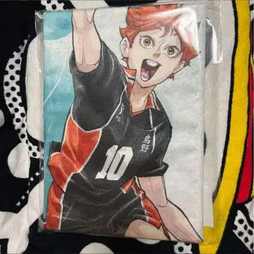 하이큐 팬파크 BIG 타월