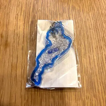 비와코 BIWAKO 아크릴 키링 시가 레이크스