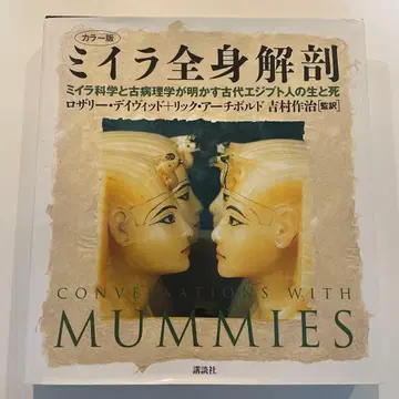 미라 전신 해부