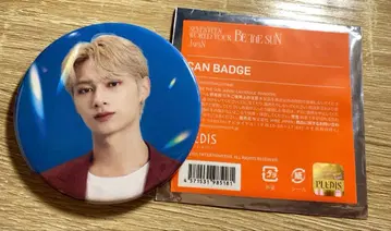SEVENTEEN 세부치 준 BE THE SUN 캔뱃지