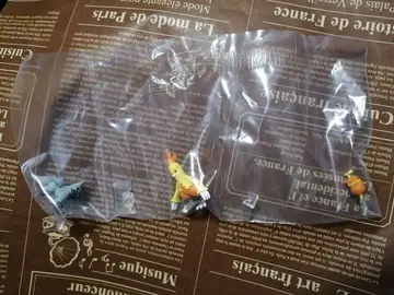 포켓몬 스케일 월드 호연지방 아차모&진화&포치에나