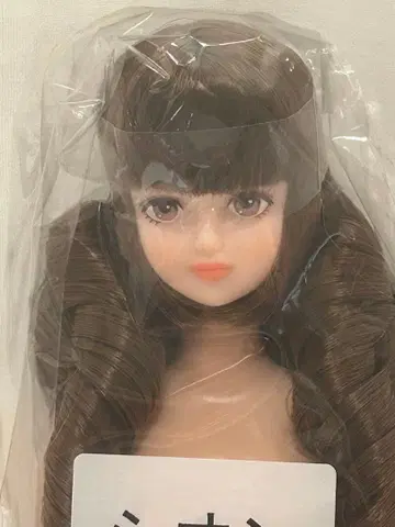 리카짱 캐슬 오타노시미 인형 DX 시온