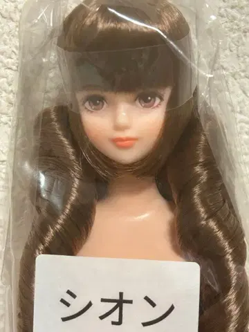 리카짱 캐슬 오타노시미 인형 DX 시온