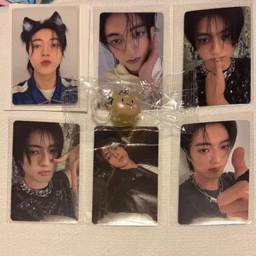 treasure 하루토 트레이딩 카드 메지루시 액세서리 묶음 판매