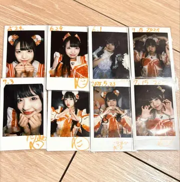 iLiFE! 코구마 마무 폴라로이드 묶음 판매