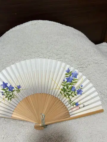 그림이 들어간 접이식 부채