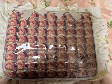 앙스타 아츠키 슈 캔뱃지 테마 스카우트 아스트레아 이타백 A3 72개