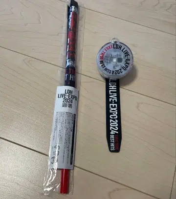 EXILE TRIBE LDH EXPO 라이트 플래그 세트