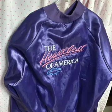 [ USA ] WestArk 바시티 자켓