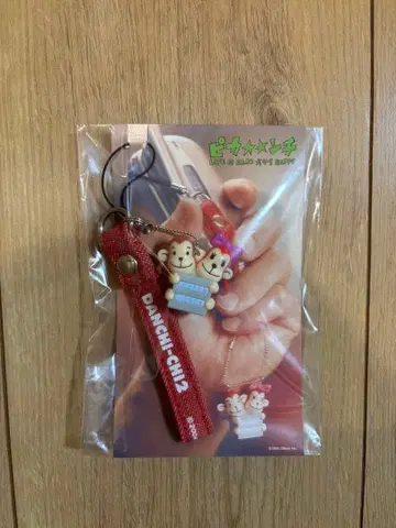 아라시 피칸치 단치치 스트랩