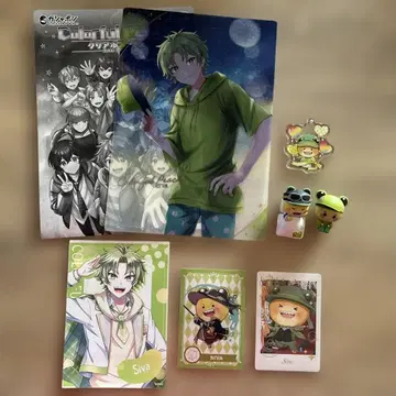 컬러풀 피치 시바님 종합 7점