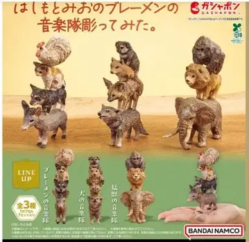 하시모토 미오 브레멘 음악대