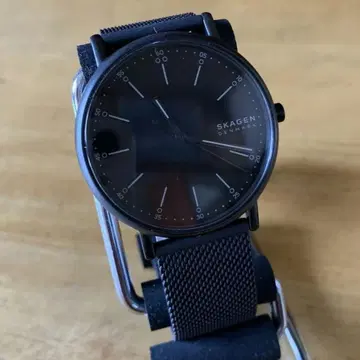 새상품 스카겐 SKAGEN 쿼츠 손목시계 SKW6579 블랙