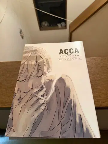 ACCA13구 감찰과 비주얼 북