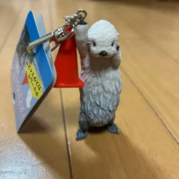 랏코 메이짱 키링 토바 수족관 오리지널