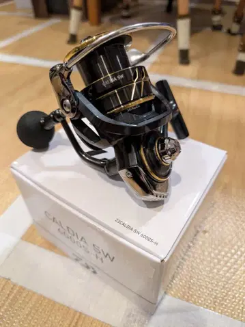 Daiwa CALDIA SW 6000S-H