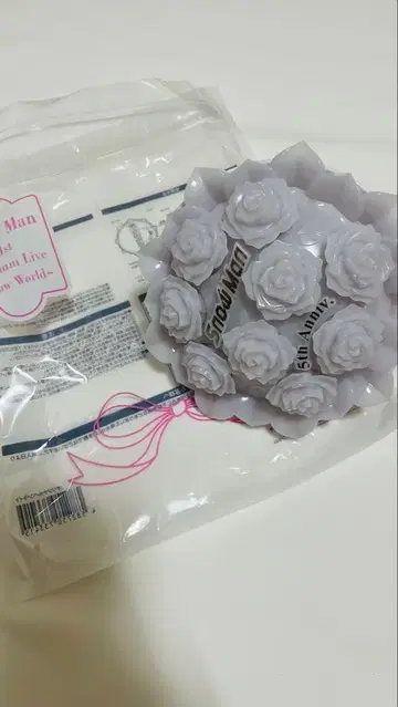 SnowMan 스타디움 투어 응원봉