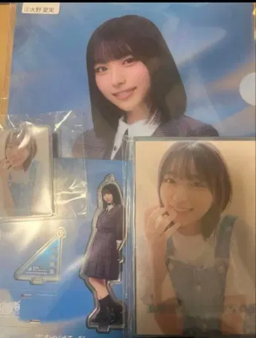 오노 마나미 신참자 히나타자카46 클리어 파일 엽서 아크릴 스탠드