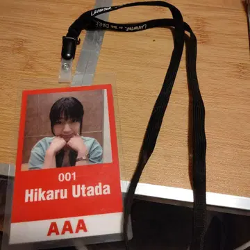 우타다 히카루 TOUR2018 [가격 인하 가능! 상담해주세요!!]